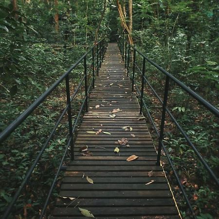 منتجع خاوسوك تريهوس Khao Sok National Park المظهر الخارجي الصورة