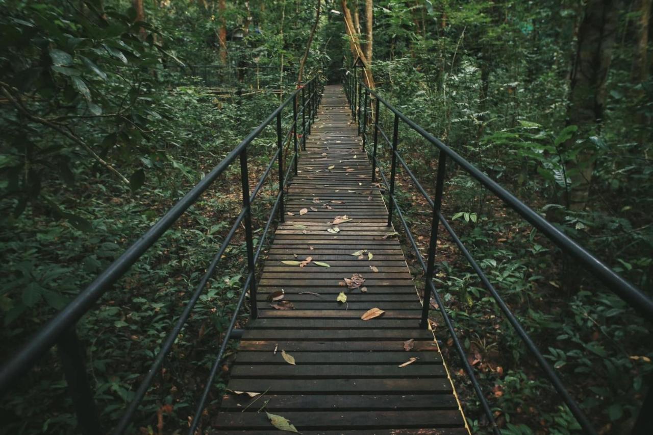 منتجع خاوسوك تريهوس Khao Sok National Park المظهر الخارجي الصورة