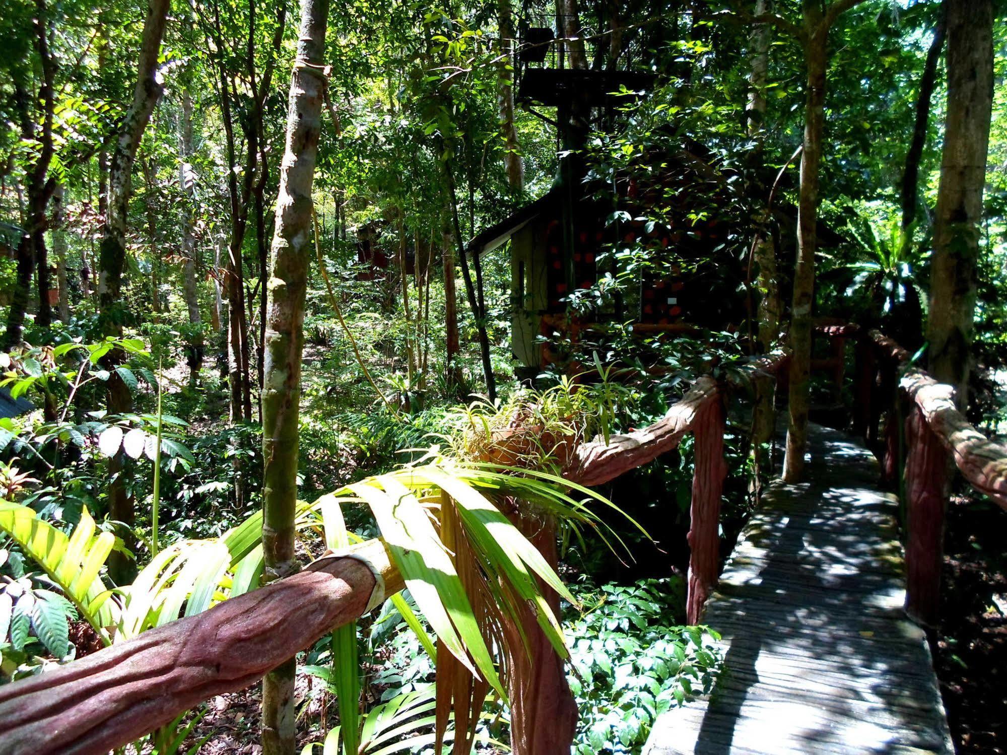 منتجع خاوسوك تريهوس Khao Sok National Park المظهر الخارجي الصورة